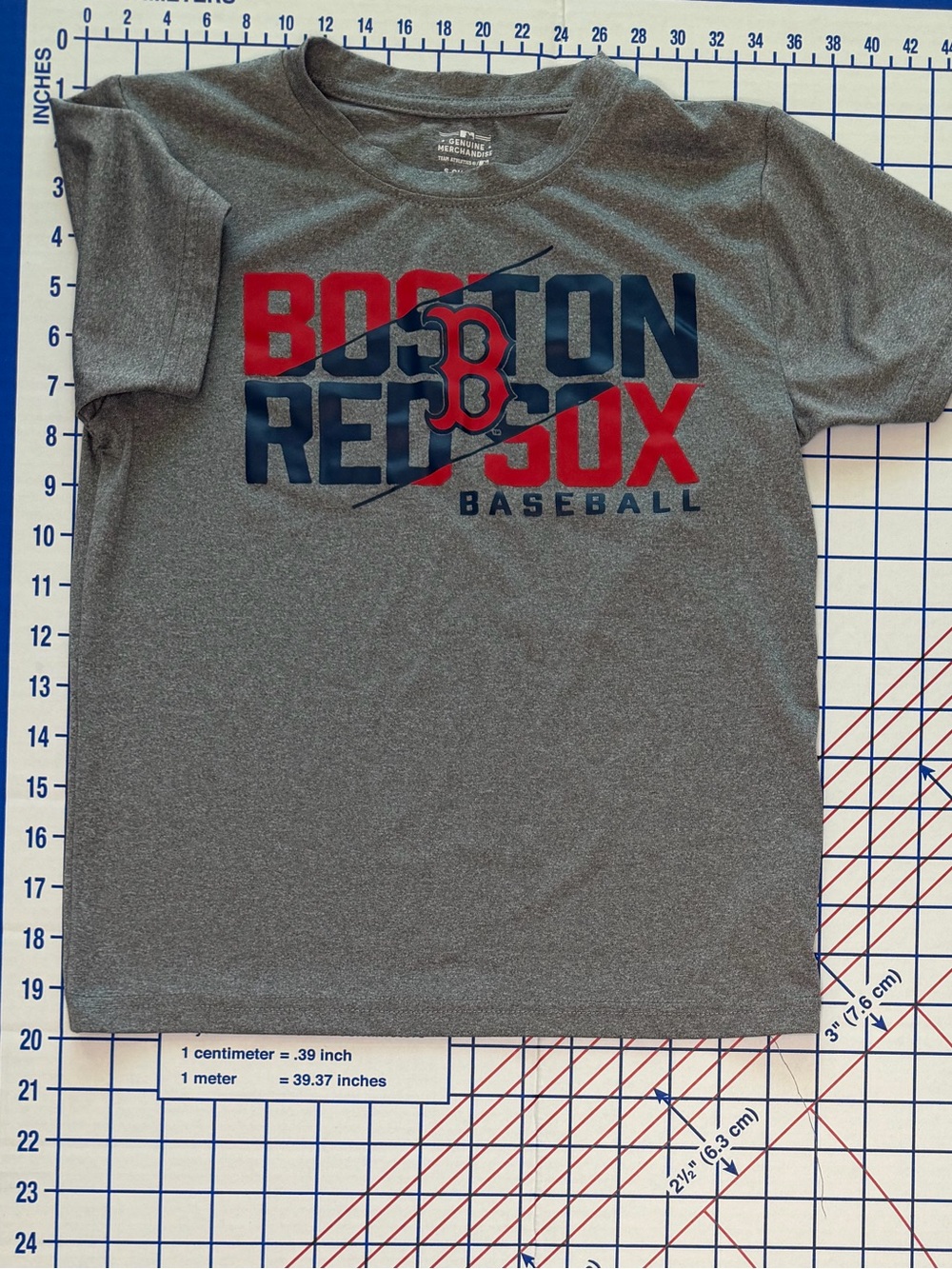 MLB Boston Red Sox Kids Gray Graphic Tee